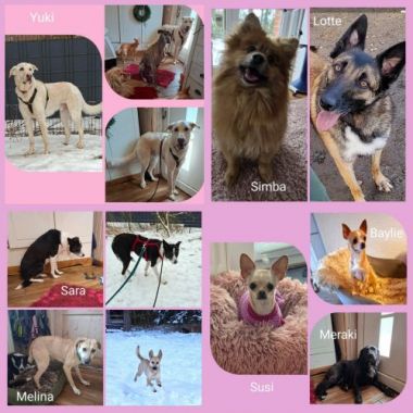 Porzellan- und Weinstadt Meißen