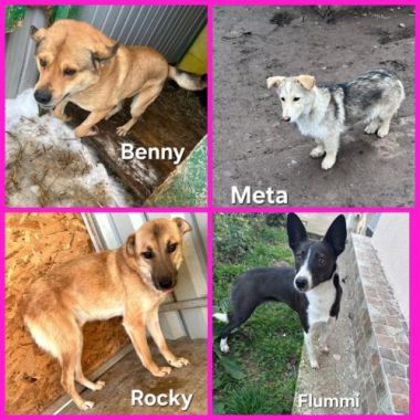 Porzellan- und Weinstadt Meißen