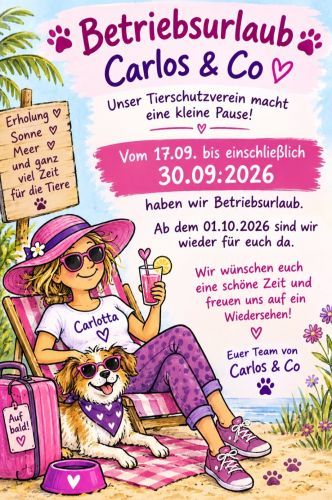 Porzellan- und Weinstadt Meißen